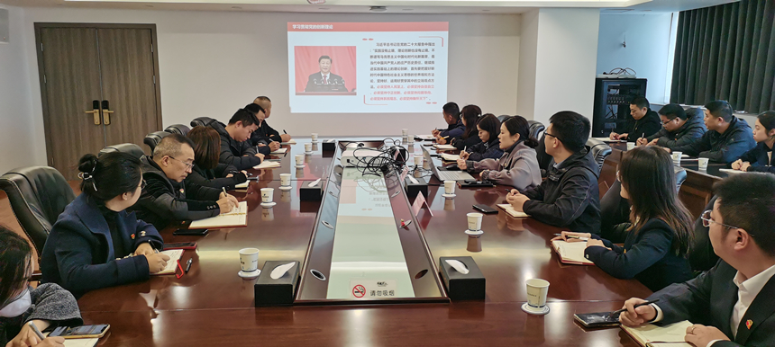 集團(tuán)黨委委員、副總經(jīng)理賀維維同志講授專題黨課