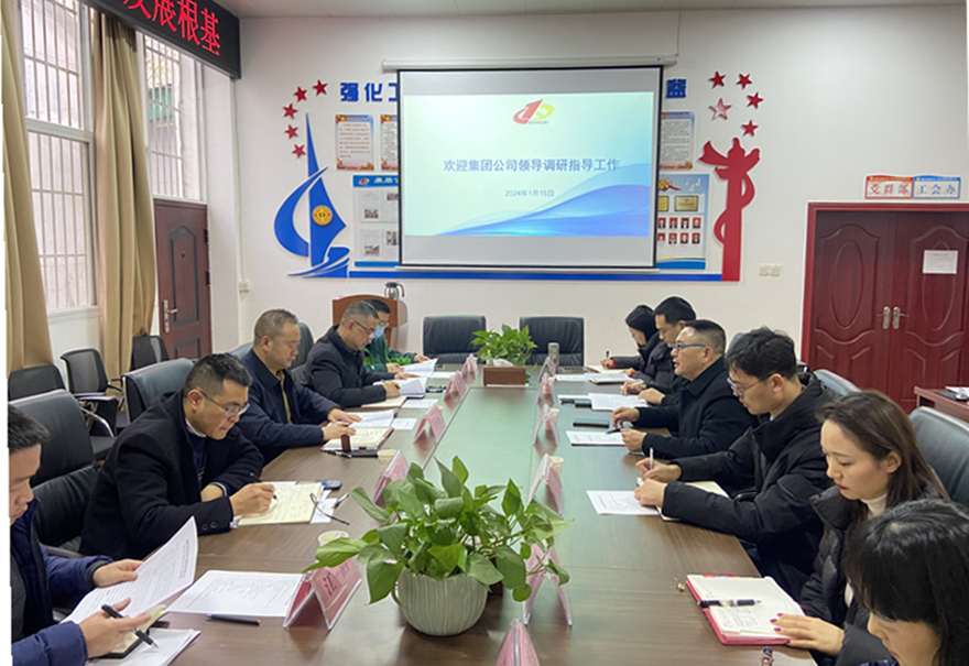 王書(shū)記調(diào)研康居公司